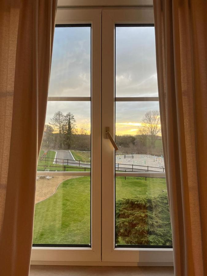 B&B At Haras Petit-Hallet Hannut Luaran gambar