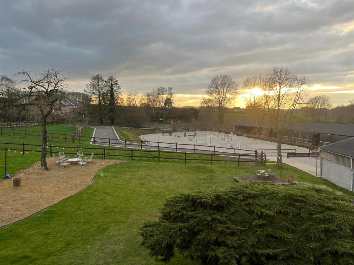 B&B At Haras Petit-Hallet Hannut Luaran gambar